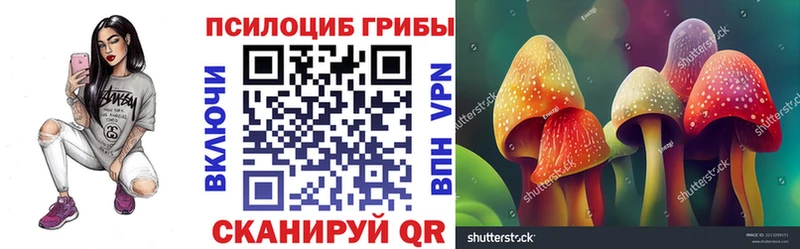 Галлюциногенные грибы Magic Shrooms  Мурманск 